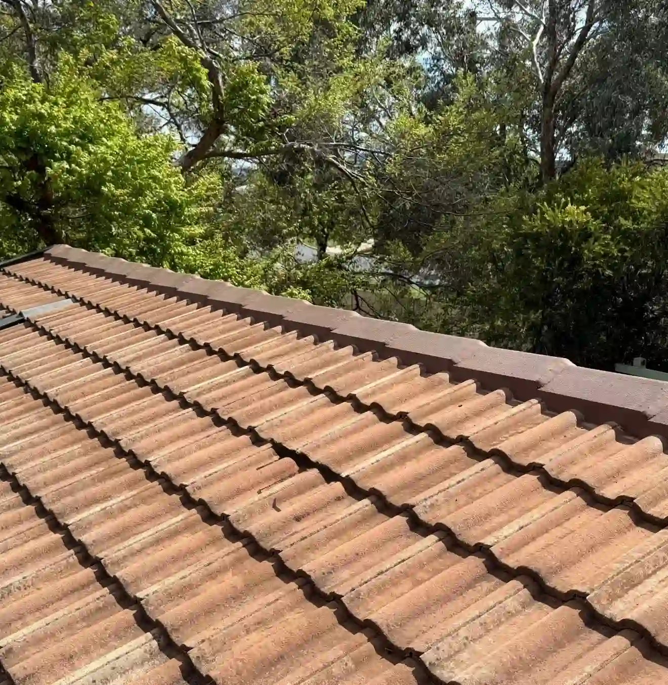 Terracotta roof tiles and ridge capping restored on the Queanbeyan home