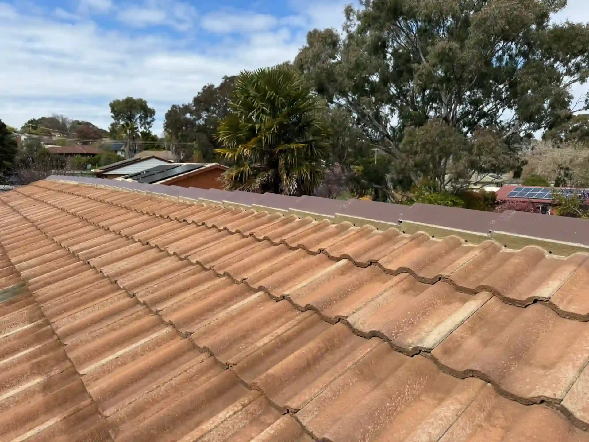 Ridge line and terracotta roof tiles on the restored Queanbeyan roof