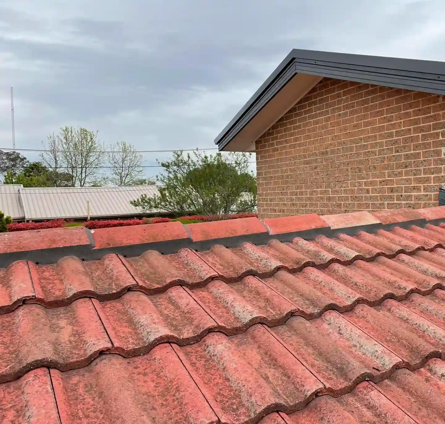 Close-up of restored ridge capping and terracotta tiles on the Canberra roof
